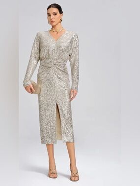 Nwt Rich Radi Q'S v neck sequin dress Sz small
